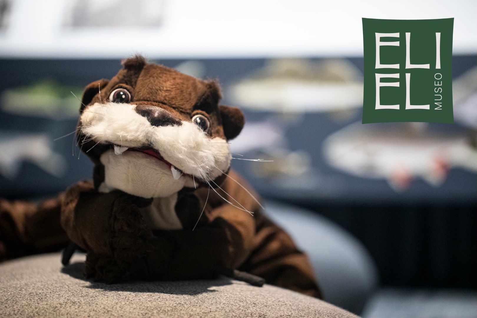 Opasnukke Saukko nojailee kiveen. Kuvassa Museo Elielin logo. 