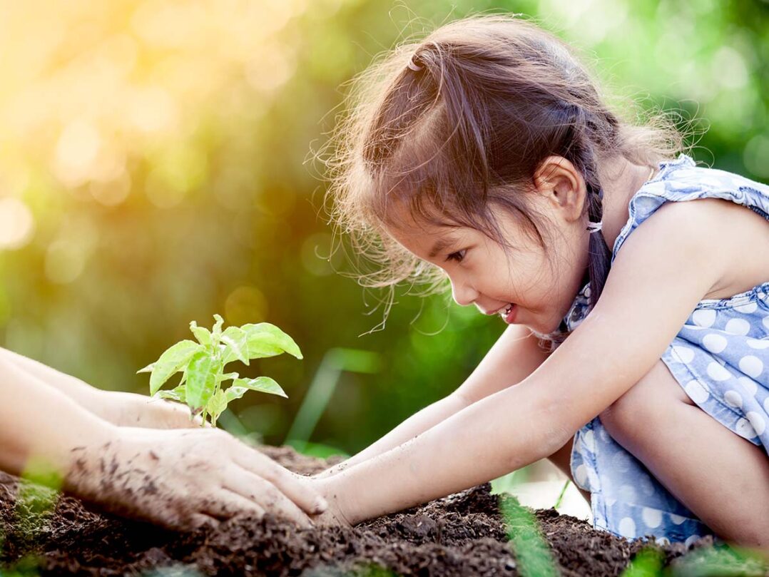 Lapsi ja aikuinen istuttavat kasvia yhdessä.