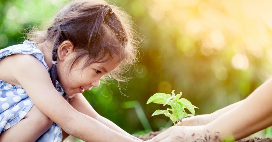 lapsi ja aikuinen istuttaa kasvia yhdessä.