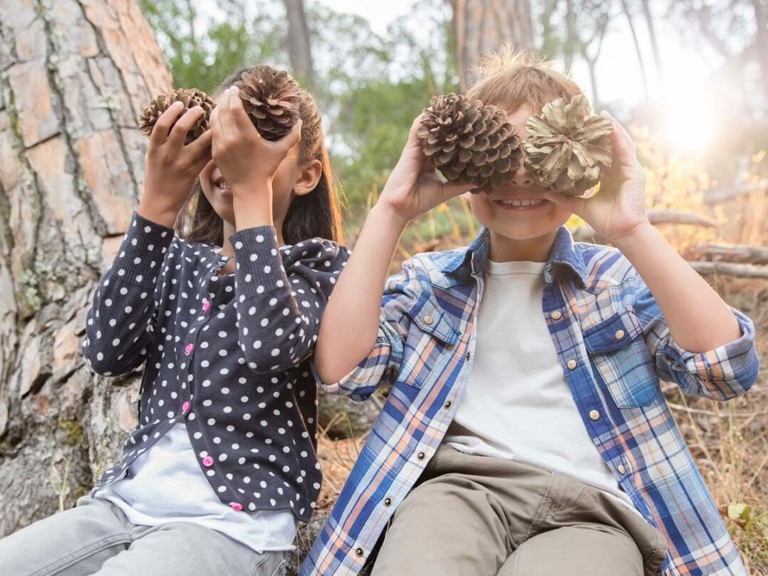 tyttö ja poika istuu metsässä ja pitää isoja käpyjä kiikareina silmien edessä