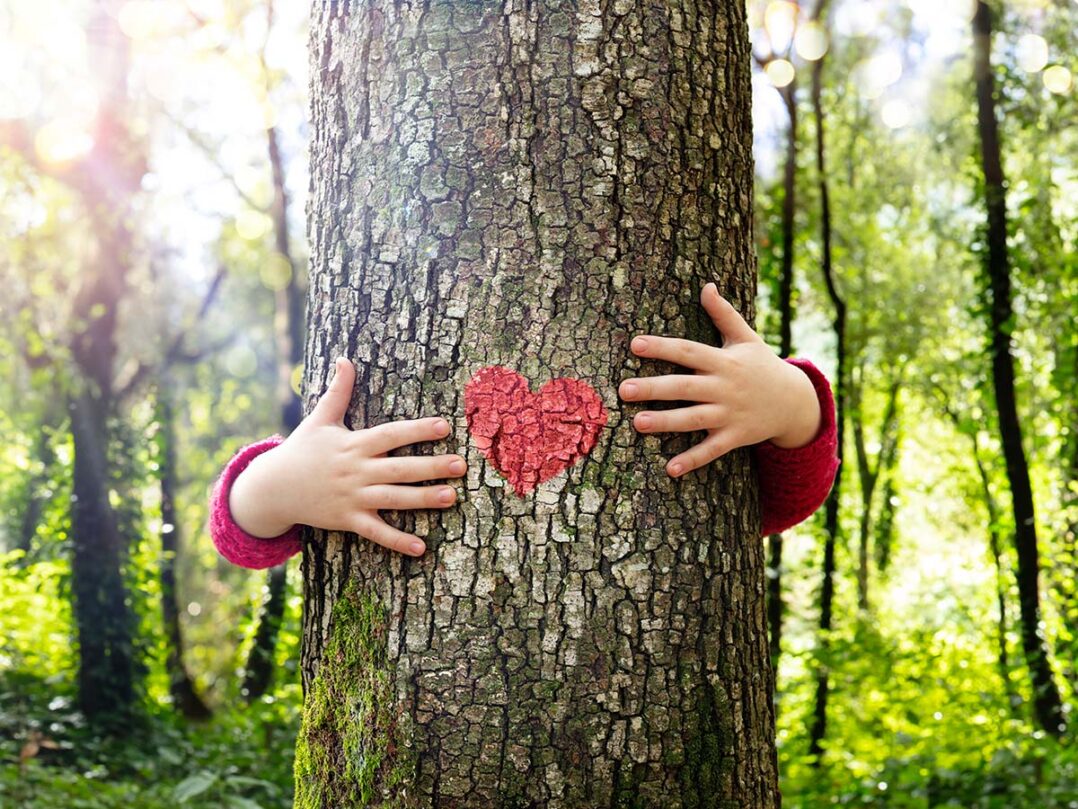 tyttö halaa puuta takaapäin, jossa punainen sydän