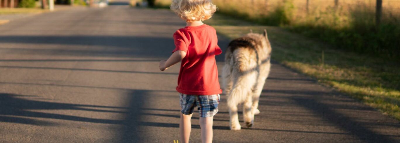 Lapsi kävelee ison koiran kanssa.