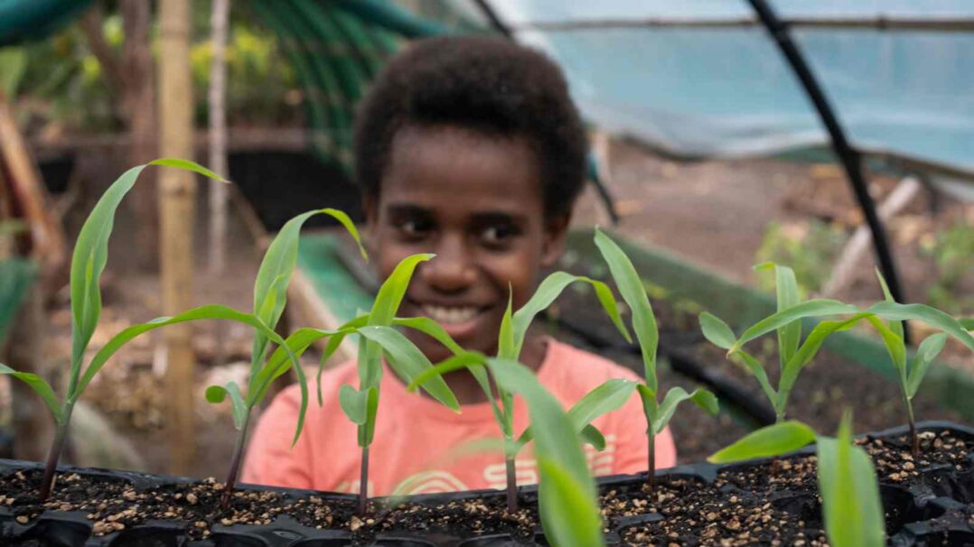 Kuvan etualalla kasvatuslaatikko, jossa taimia. Taustalla hymyilevä lapsi.