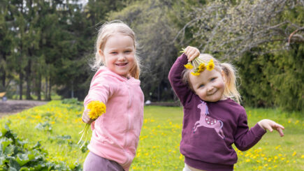Kaksi tyttöä hymyilevät ja pitävät käsissään voikukkia.