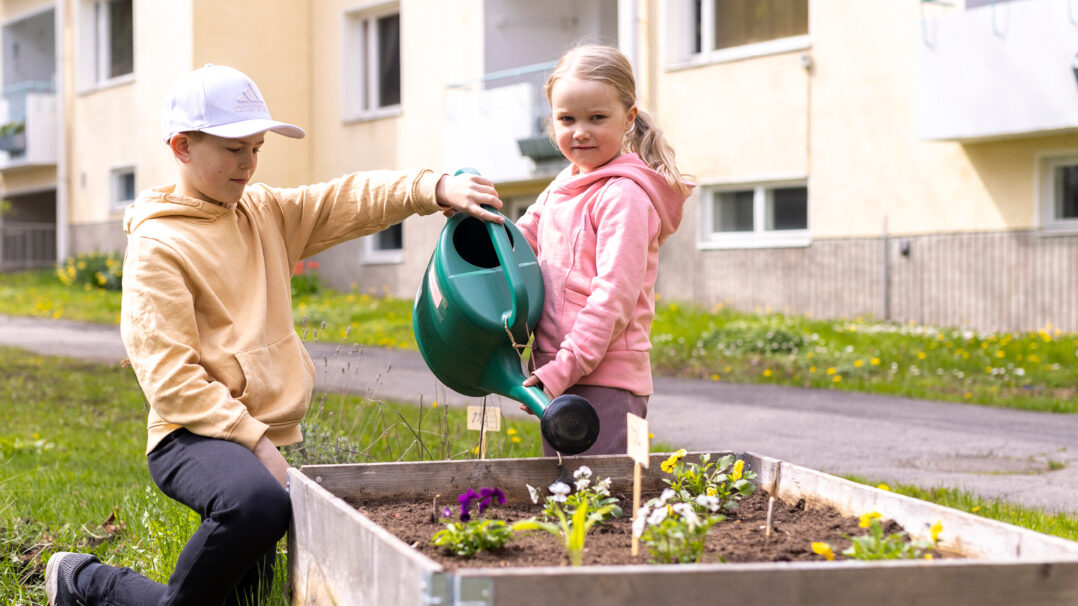 Poika ja tyttö kastelevat istutuslaatikon kasveja. Taustalla kerrostalo
